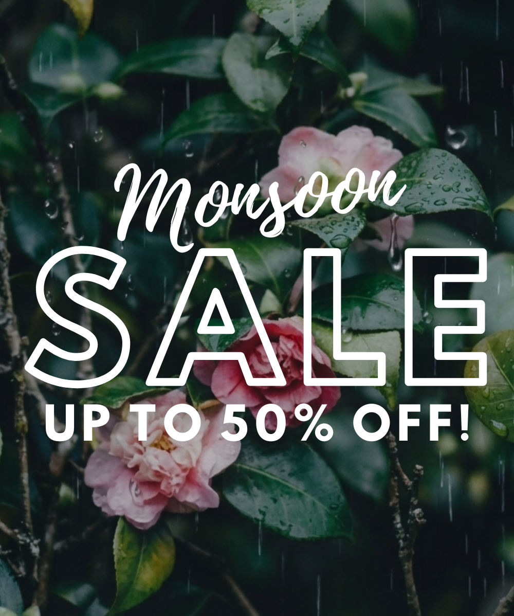 Monsoon Sale!